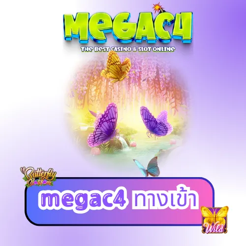 megac4 ทางเข้า